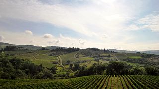 Tenuta Carobbio