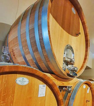 Cantina Del Giusto