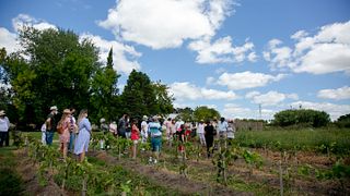 Visita guidata e degustazione di vini Alta Gama presso Bodegas Castillo Viejo
