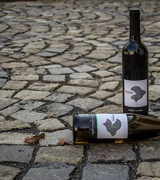 Weinprobe und Tour bei Planina Borhaz