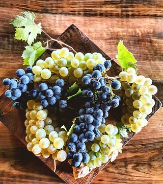 Degustação de vinhos populares na Azienda Agricola Anna Maria Abbonaoncucco 21