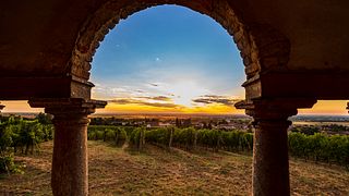 Weinprobe