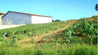 Visita y cata de vinos en Boggero-Bogge Wine
