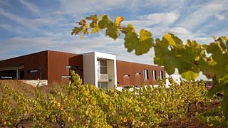 Castilla y León Wine Journey at Leyenda Del Páramo