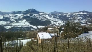 Casè Winery
