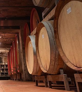 Degustação de vinhos e tour na Azienda Agricola Erbaluna