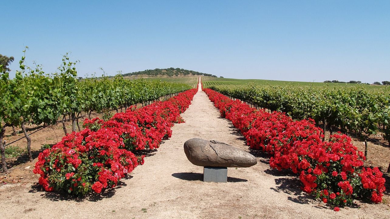 Reynolds Wine Growers
