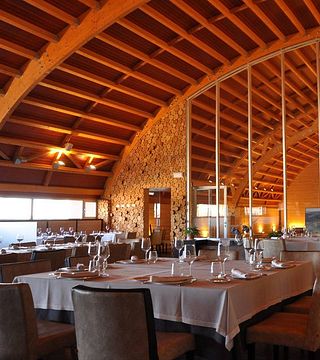 Wine Tasting and Tour at Pago Del Vicario