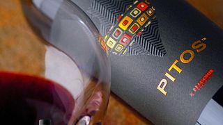 Degustação de vinhos e tour na vinícola Dragomir