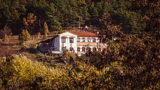 Entdecken Sie die Weine der Domaine Trifonoff: Weintour und Verkostung