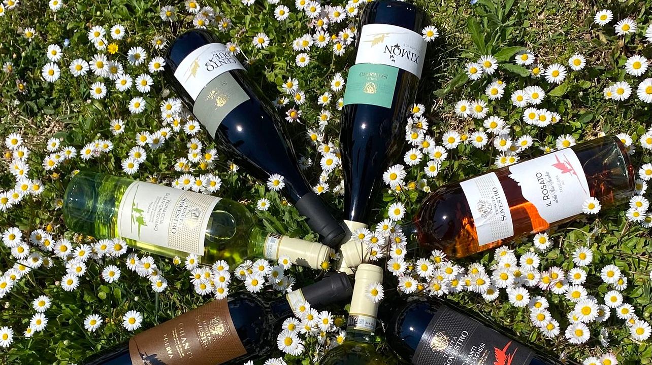 TENUTA SOVESTRO