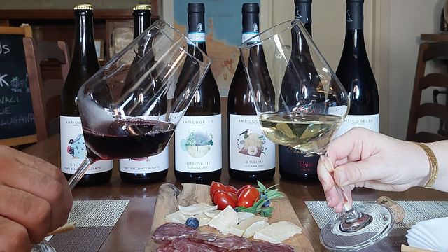 Wine Experience Antico Gelso sul Lago di Garda