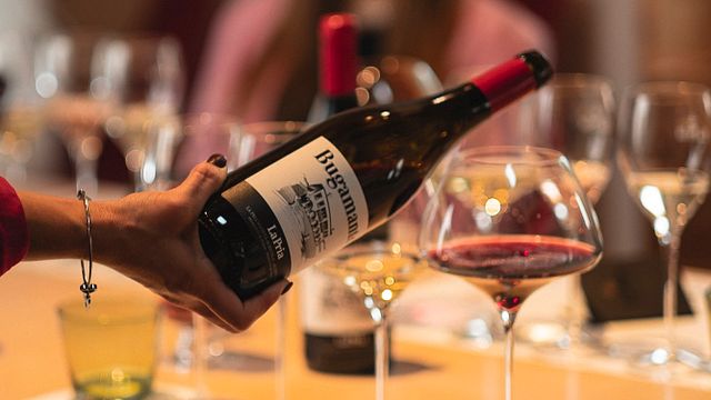 Degustação de vinhos e tour na vinícola La Pria