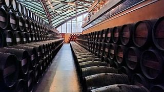 Tour del vino de Arrábida