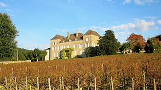 Weinprobe und Führung im Château de la Greffière