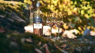 Tre vini iconici per scoprire il terroir di Ginevra
