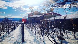 Dégustation de vins et visite à Twins Wine House à Napareuli