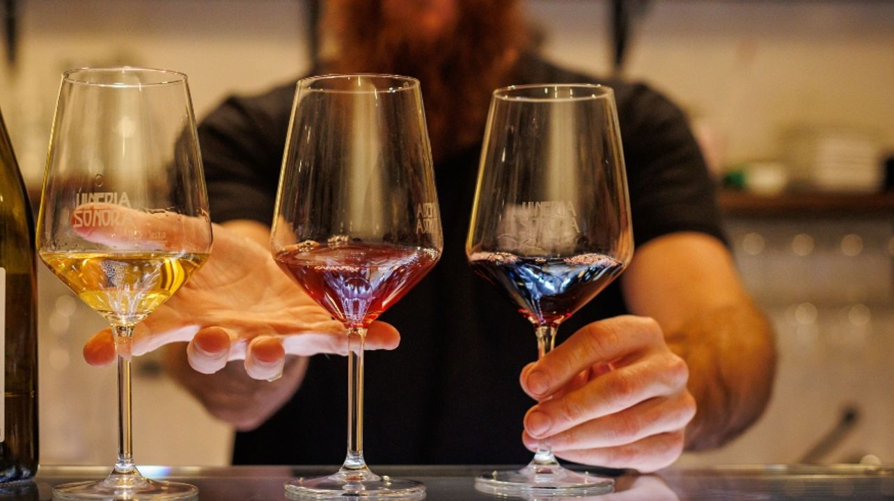Vin naturel et vinyle à Florence