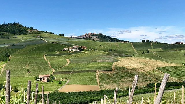 Weinprobe mit 9 Weinen bei Voerzio Martini