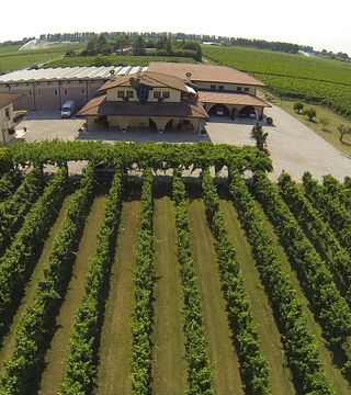 Wine Tasting at Lorenzonetto Cav Guido