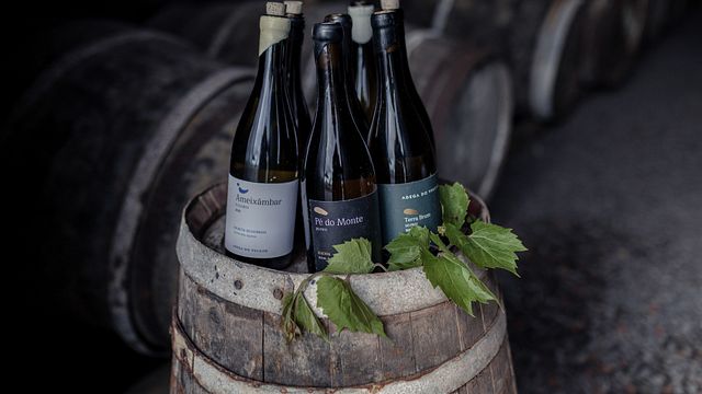 Degustazione Classica