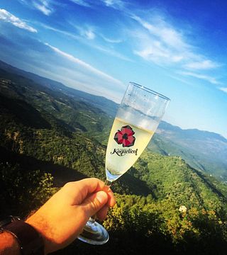 Degustazione di vini e tour al Domaine Koquelicot