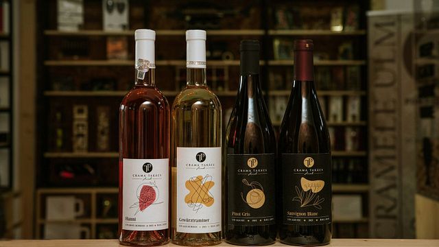 Degustazione di vini presso l'azienda vinicola Domaine Takacs