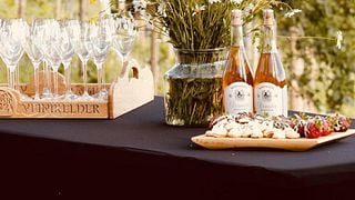 Dégustation de vins et visite d'une cave | Murimäe Veinikelder