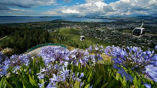 Volcanic Hills Winery