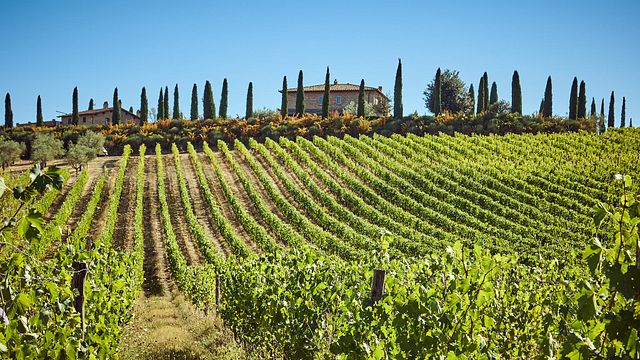 Sip & Savour - Taste 4 Wines at a Boutique Winery