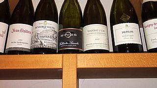 Degustazione di vini e visita alla Weingut Konstanzer