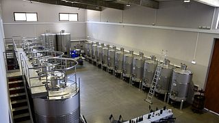 Esperienza premium con vino e tapas - Quinta João Clara 