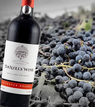 Degustazione di vini e tour a Crama Unu