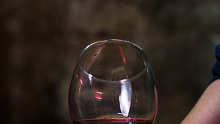 Dalmatia Wine & Cheese Delight at Matković