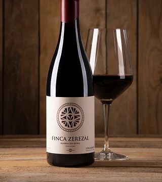 Dégustation de vins et visite de la cave Viña Memorias