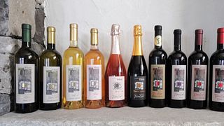 Vinska Klet Tavčar - Pri Starčih
