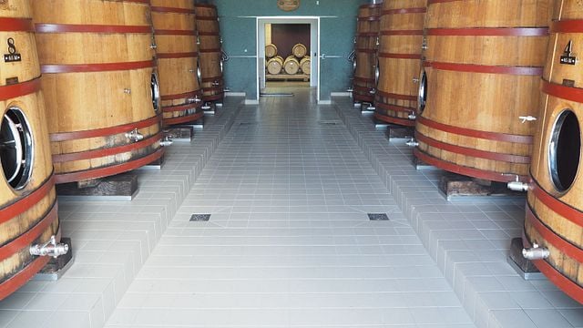 Visite Prestige, Degustation à la Barrique & Degustationen 3 Weine