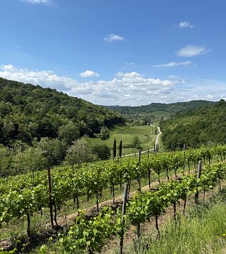 Cata de vinos y visita a La Rajade