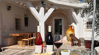 Tour del vino