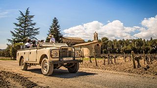 Penedés Wine & Cava Tasting & 4wrd Vineyards Experience from Barcelona