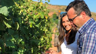 Weinprobe und Führung im Celler Grau i Grau