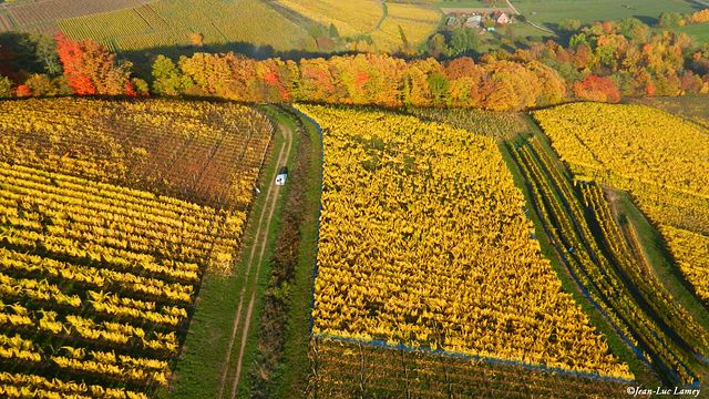 Degustazione di vini e visita al Vins Schoenheitz