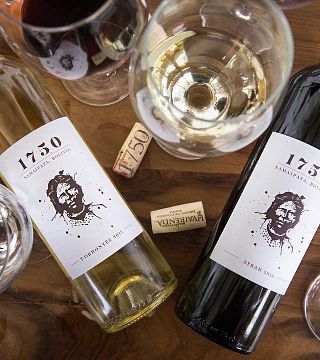 Degustazione di vini e visita a Vinos 1750 - Uvairenda
