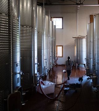 Visite de la dégustation de Buccia Nera « Tre Chianti » et « Organic EVO Oil ». 