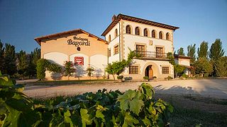 Wine tasting and visit to Bodegas Bagordi