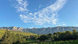 Dégustation et visite de vins au Domaine Richeaume