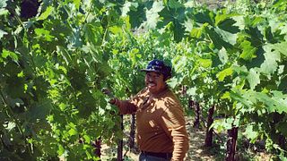 Alta Orsa Winery