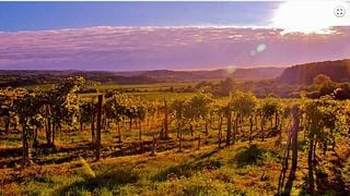 Degustação de espumantes no terraço SparkArt da vinícola Kern