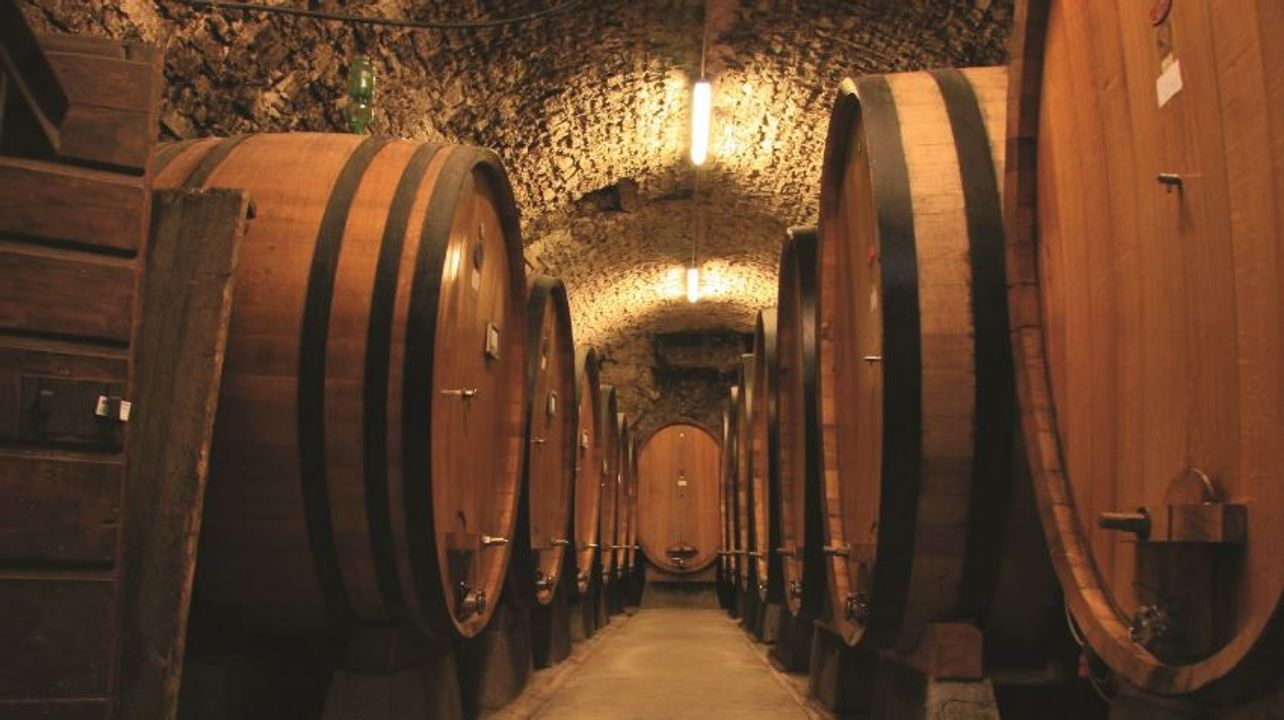 Dîner dans les vignobles du Chianti à Florence