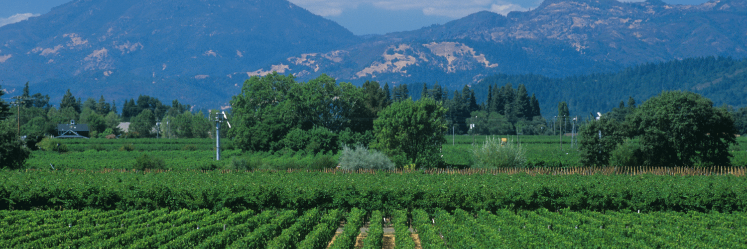 Calistoga